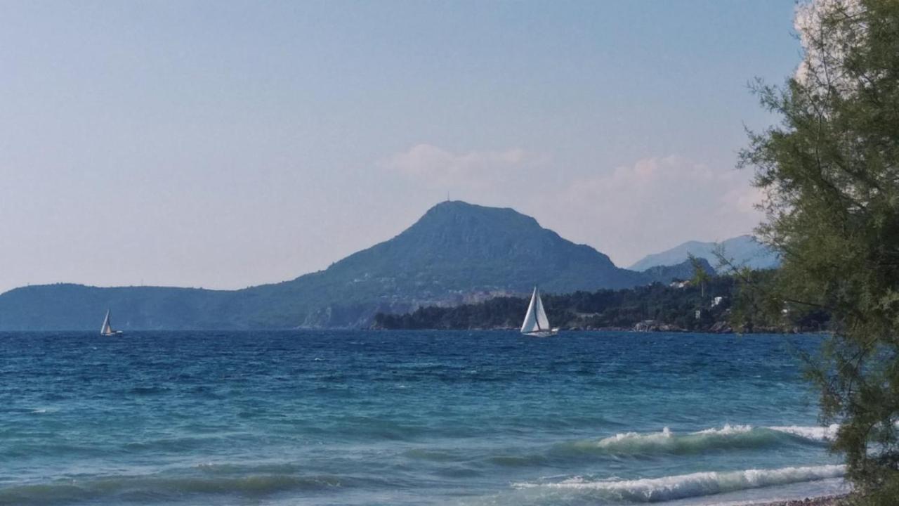 Apartments Kuce Lekovica Beach & Snack Bar- Bistro المظهر الخارجي الصورة